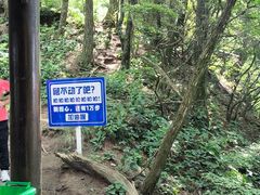 -罗田薄刀峰风景区