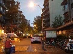 -泡桐树街