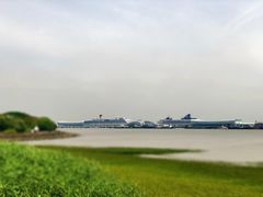 -吴淞炮台湾湿地森林公园烧烤区