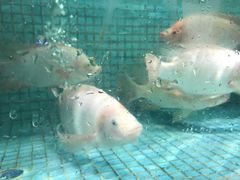 -徐记海鲜·宴会(大唐西市|丰庆店)