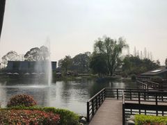 -成飞公园