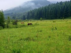 -塞罕坝国家级自然保护区