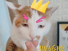 -平行世界·猫咖(首经贸店)