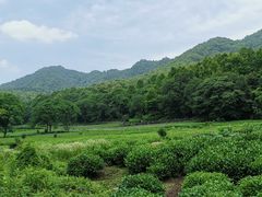 -法云古村