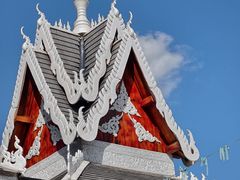 -西双版纳傣族园