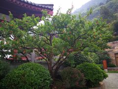 -西安华清御汤酒店