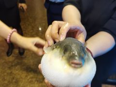 -肆月河豚·淮扬菜·湘菜(华天店)