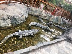 -龙达温泉生态城