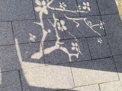 -白水寺森林公园