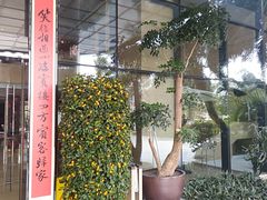 -碧桂园空港凤凰酒店(广州新白云机场店)
