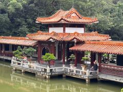 -深圳仙湖植物园