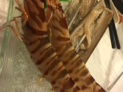 -鲜入围煮花胶鸡海鲜火锅