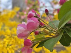 -元大都城垣遗址公园