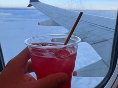 -新加坡航空公司(ION)