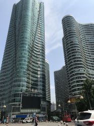 点击看大图 -丸子脏辫