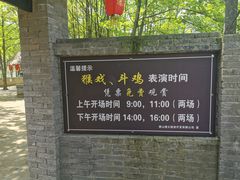 -杨家寨
