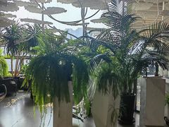 -哈尔滨圣安口腔专科医院