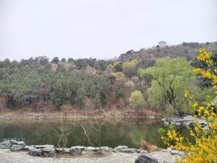 -香山公园