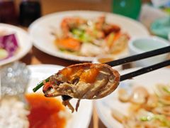 -金海湾海鲜排档(朱家尖店)