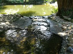 -成都市活水公园