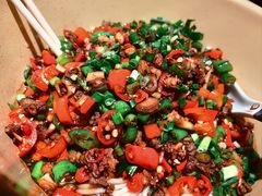 驴肉拌粉-传统菜农庄(皇姑路店)