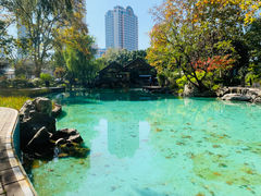 -静安公园(静安寺街道)