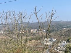 -贵州百里杜鹃风景名胜区