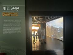 -四川大学博物馆
