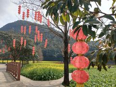 -广州市石门国家森林公园