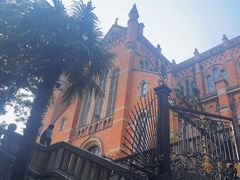 -上海佘山国家森林公园西佘山园