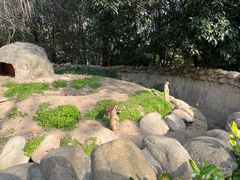 -上海野生动物园