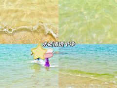 -广东惠东海龟国家级自然保护区