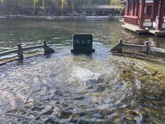 -百脉泉景区
