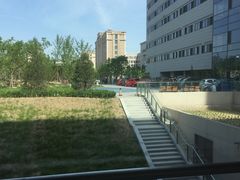 -首都医科大学附属北京天坛医院