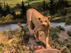 -陕西自然博物馆