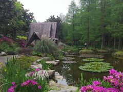 -上海滨江森林公园
