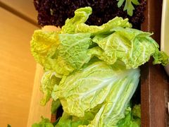 -渡娘火锅(大兴大悦春风里店)