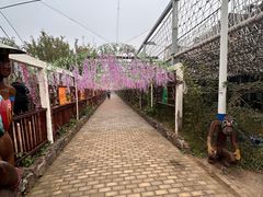 -呀路古热带植物园