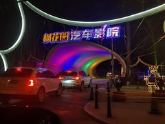 -枫花园汽车电影院(朝阳公园店)