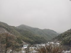 -四明山国家森林公园