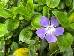 -苏州河梦清园环保主题公园