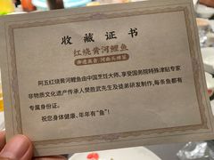 -阿五黄河大鲤鱼(英协路店)