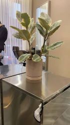 -愉己冥想·护发专门店