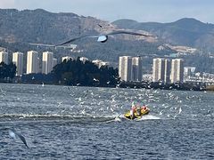 -海埂大坝