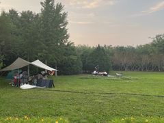 -永定河休闲森林公园