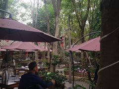 -园林美食城·本土农家菜(杨和镇店)