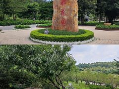 -广东花都湖国家湿地公园