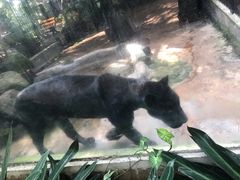 -海南热带野生动植物园