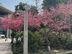 -西湖文化广场