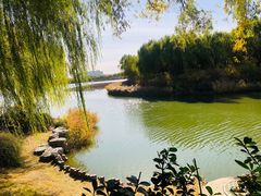 -大兴滨河森林公园